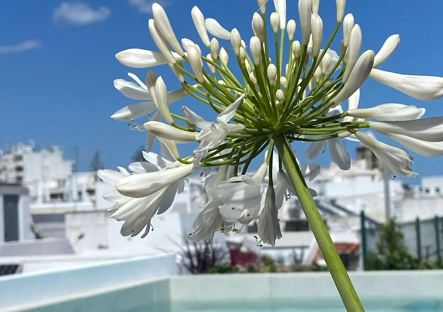 Casa Amor Olhao Hotel